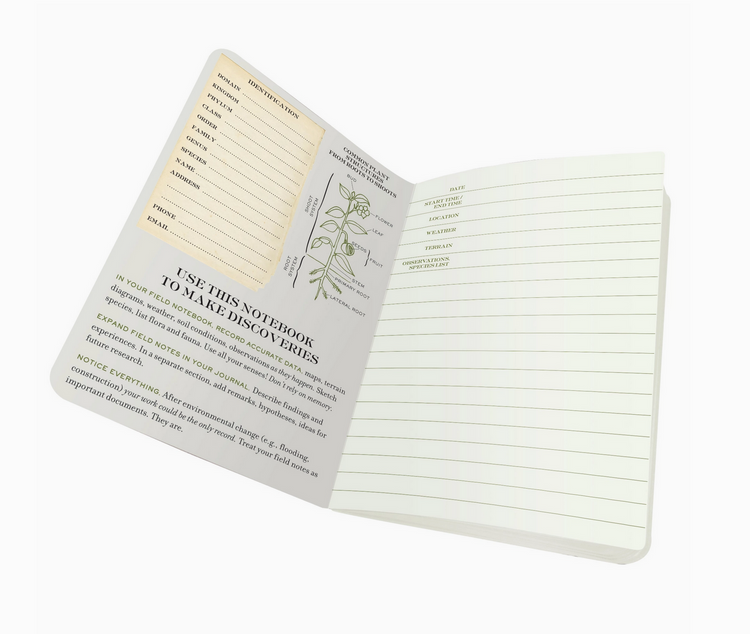 Botany Naturalist's Notebook - Cantrip Candles