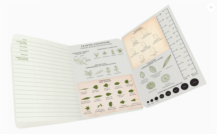 Botany Naturalist's Notebook - Cantrip Candles