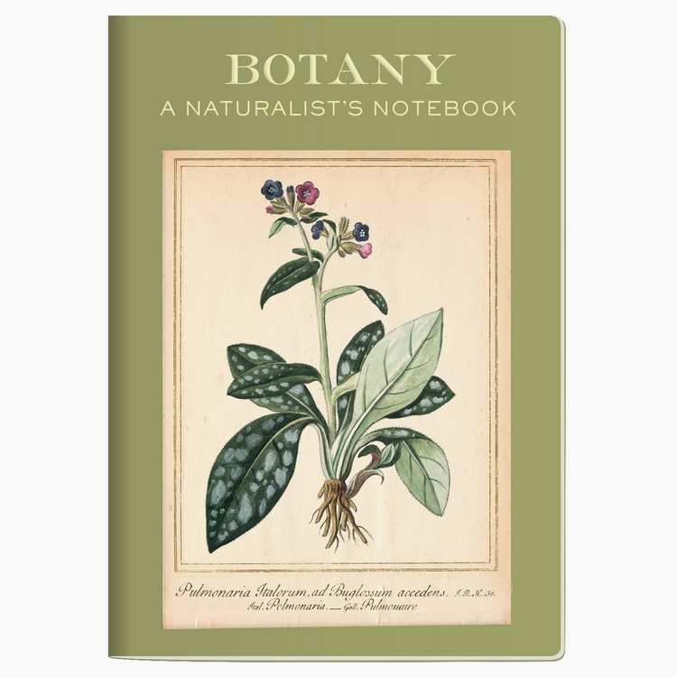 Botany Naturalist's Notebook - Cantrip Candles