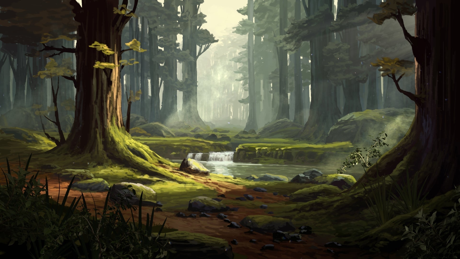 A Walk in the Woods