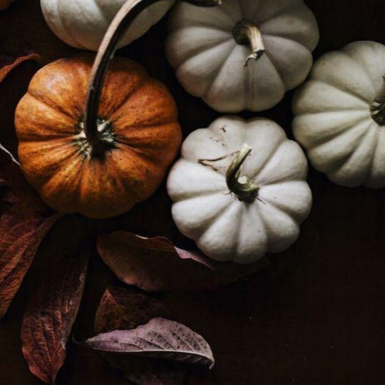 Autumn Festival 6oz - Cantrip Candles
