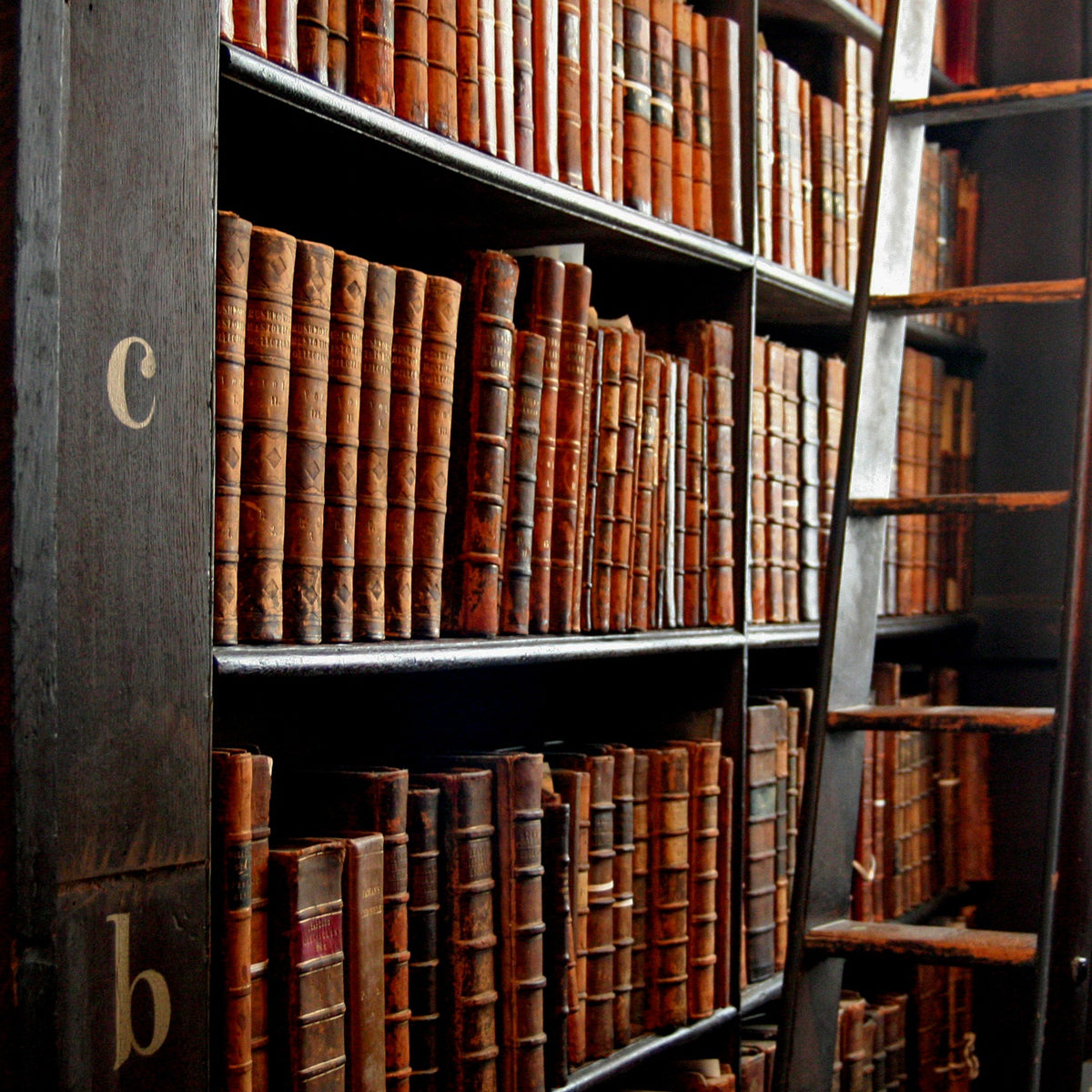 The Library Scriptorium