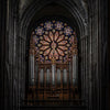Sanctuary