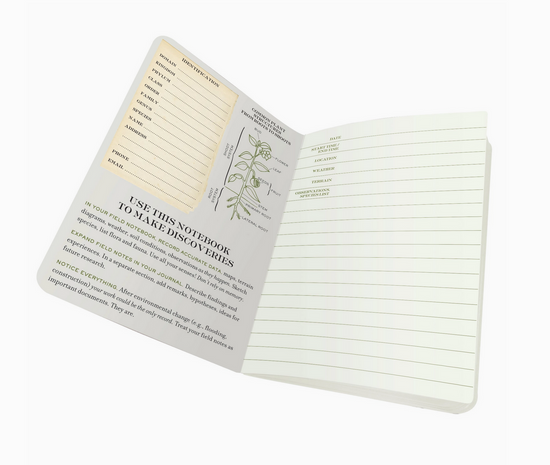 Botany Naturalist's Notebook - Cantrip Candles