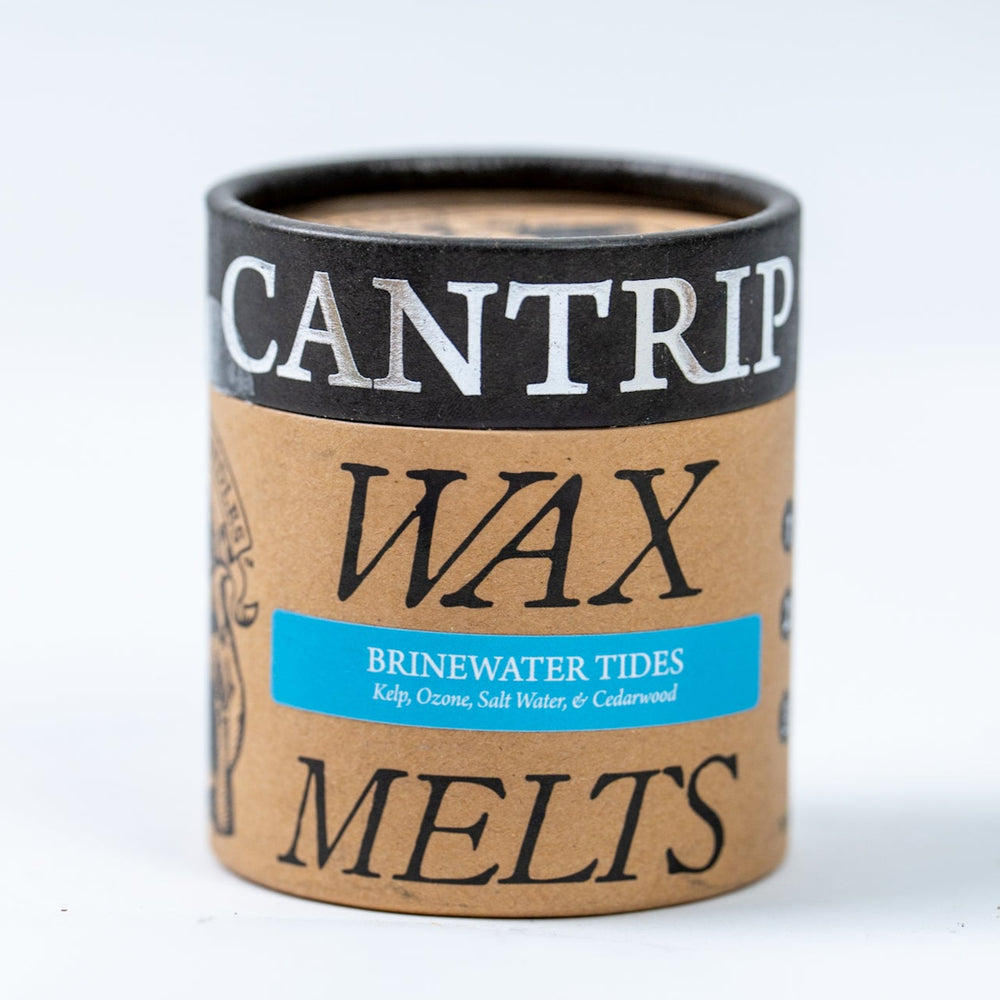 Brinewater Tides Wax Melts - Cantrip Candles