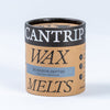 Dungeon Depths Wax Melts - Cantrip Candles