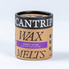 Forest of Fae Wax Melts - Cantrip Candles
