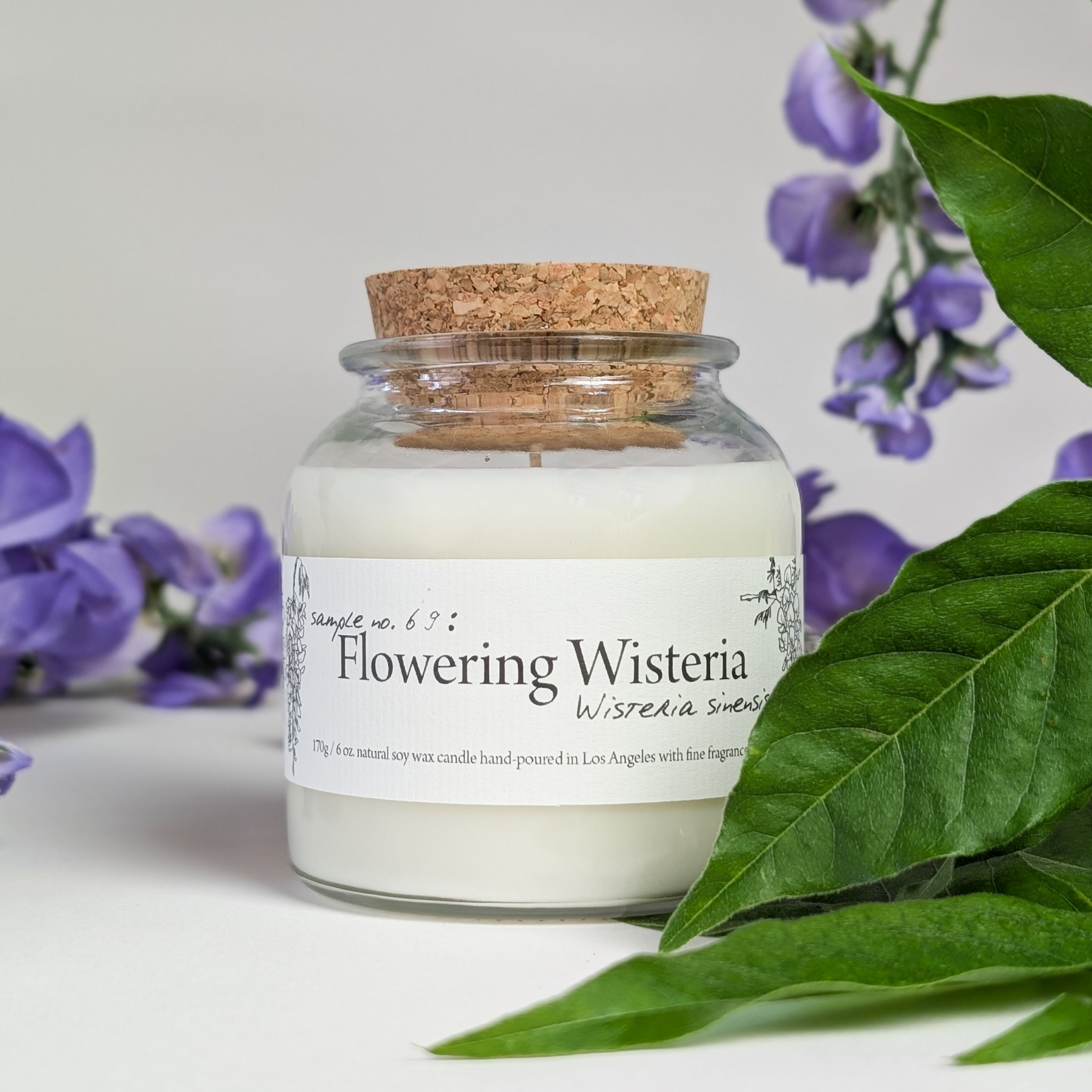 Botany ~ Flowering Wisteria 🪻 - Cantrip Candles