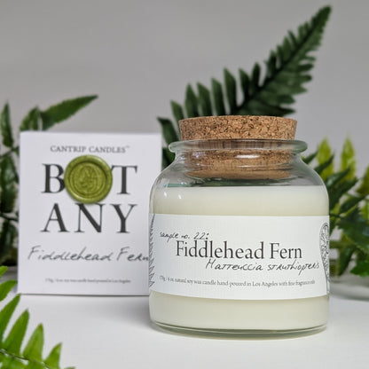 Botany ~ Fiddlehead Fern 🌿 - Cantrip Candles