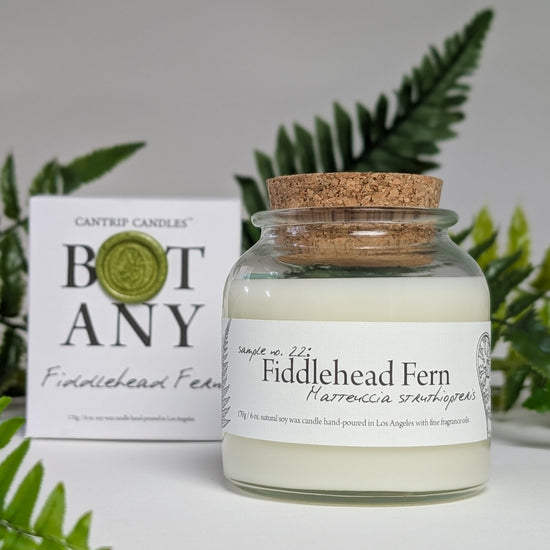 Botany ~ Fiddlehead Fern 🌿 - Cantrip Candles