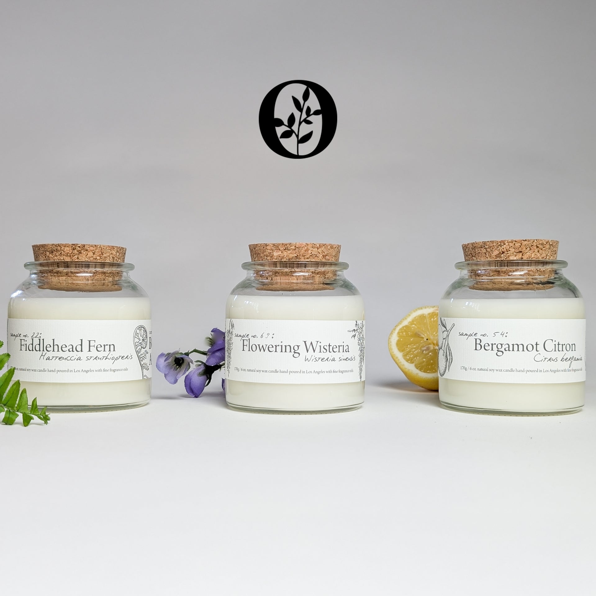 Botany Bundle