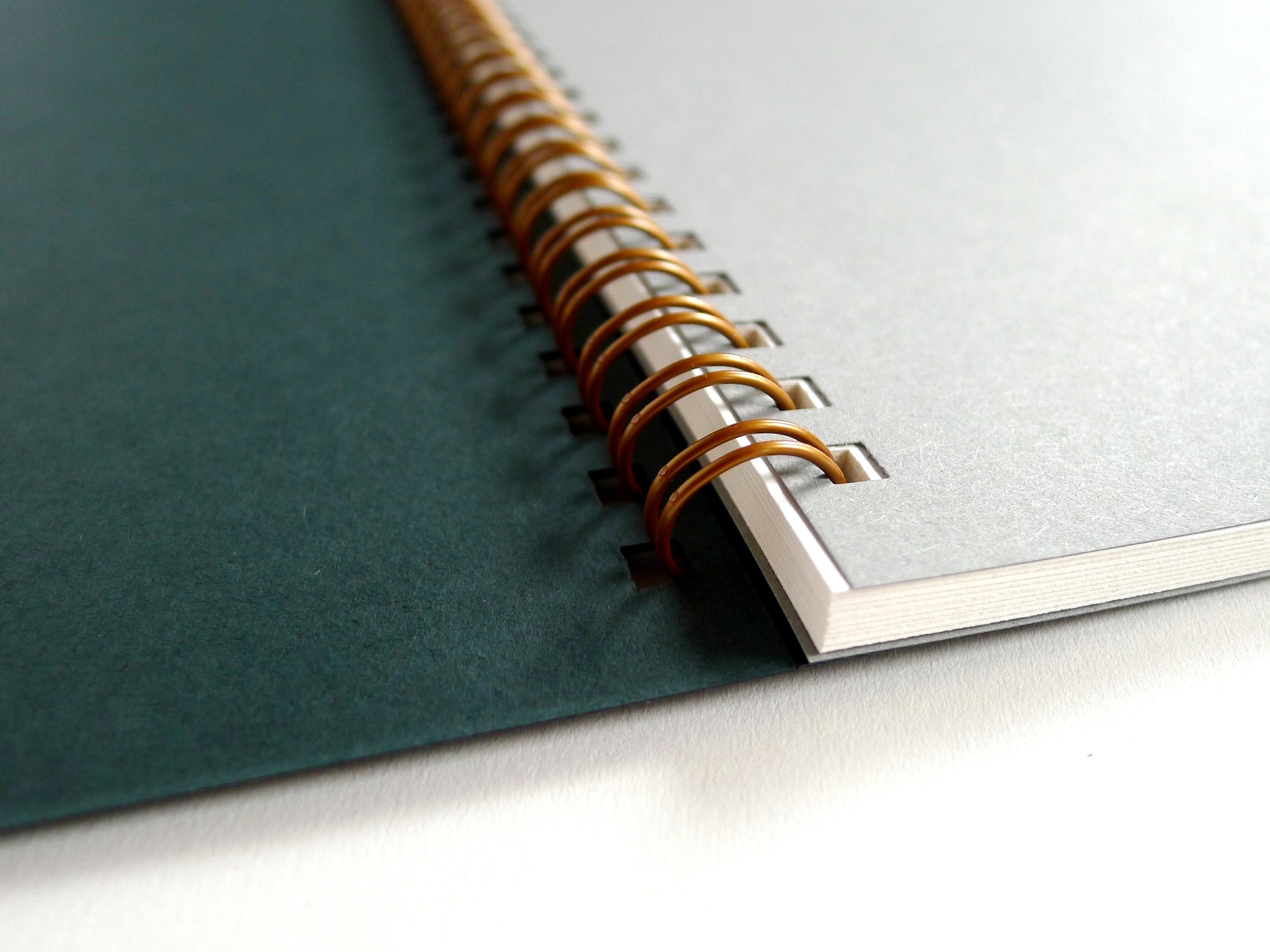 Dandelion Coil Notebook - Cantrip Candles