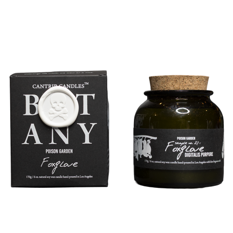 Botany: Poison Garden ~ Foxglove 💮 - Cantrip Candles