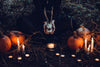 House of the Witch 6 oz. - Cantrip Candles
