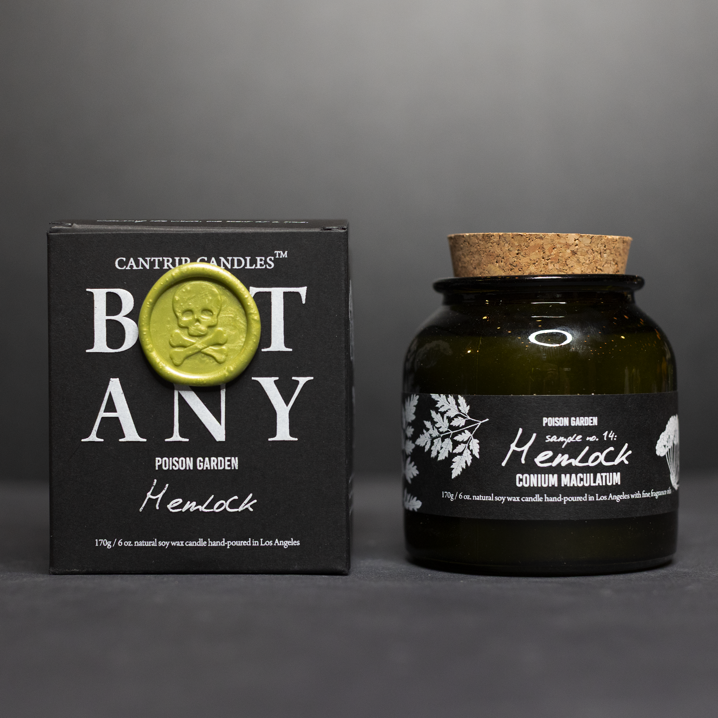 Botany: Poison Garden ~ Hemlock 🌿 - Cantrip Candles