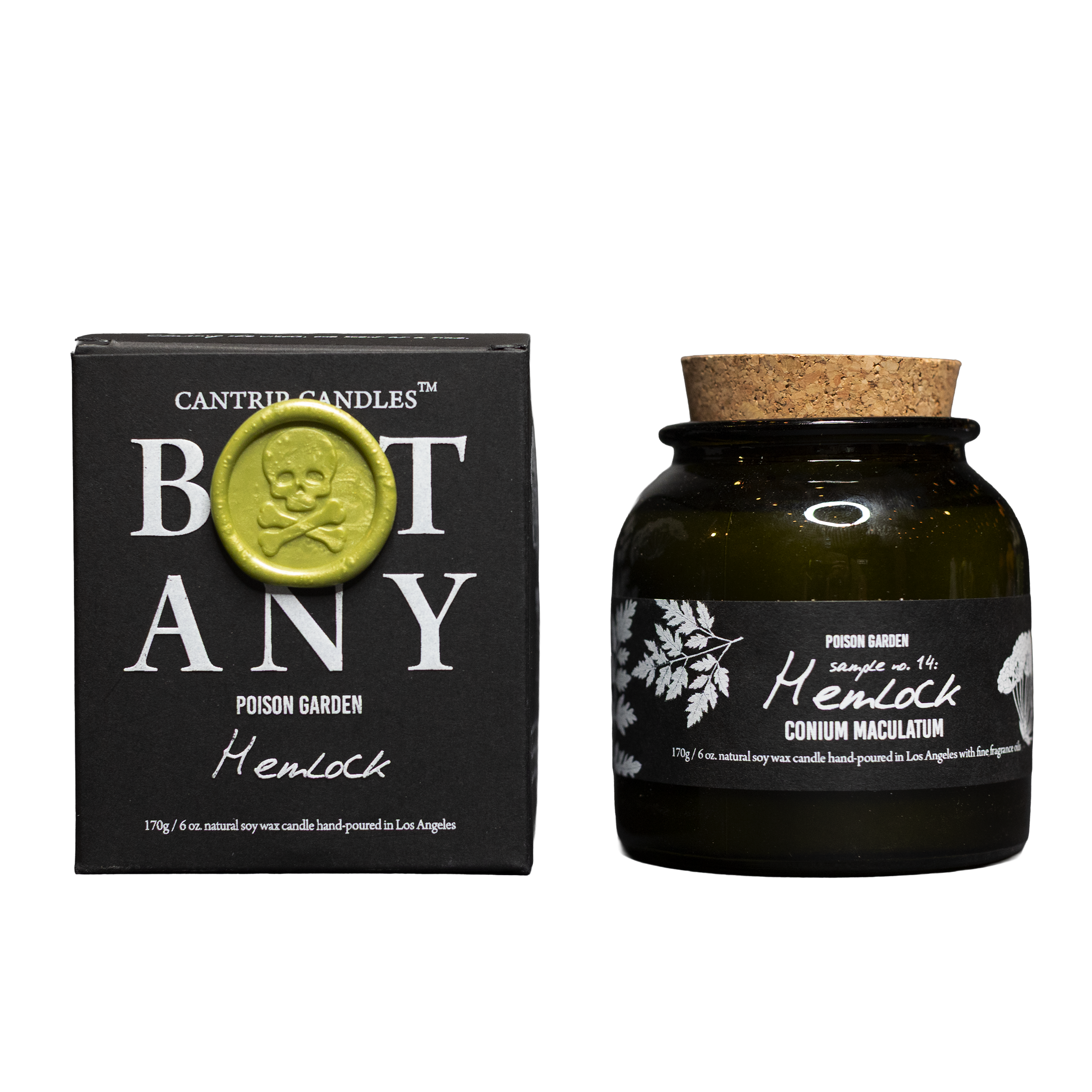 Botany: Poison Garden ~ Hemlock 🌿 - Cantrip Candles