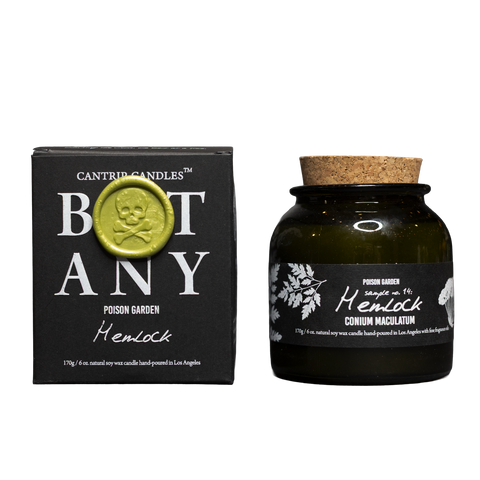 Botany: Poison Garden ~ Hemlock 🌿 - Cantrip Candles