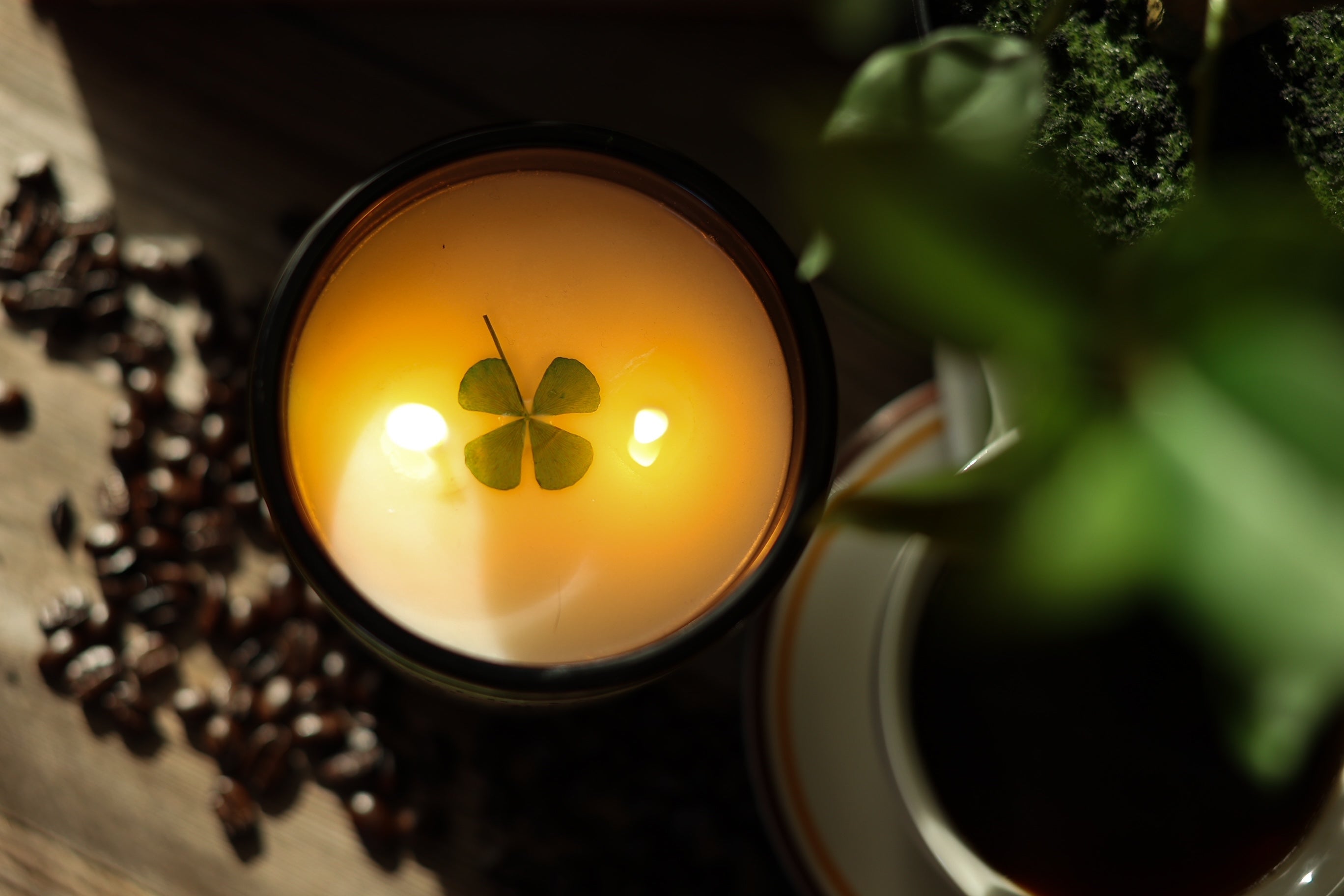 Shelligan's Irish Coffee 🦊 - Cantrip Candles