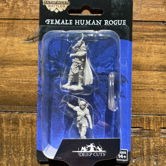 Wizkids Human Rogue Miniature